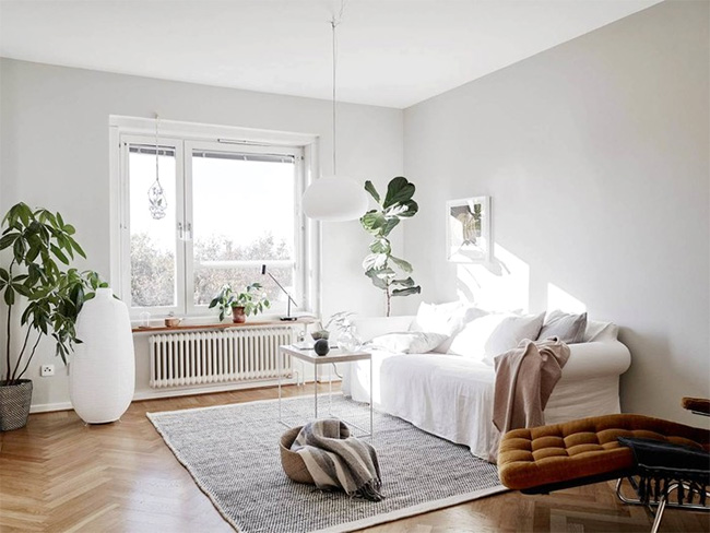 廣東裝修管理軟件如何滿足地方特色需求？